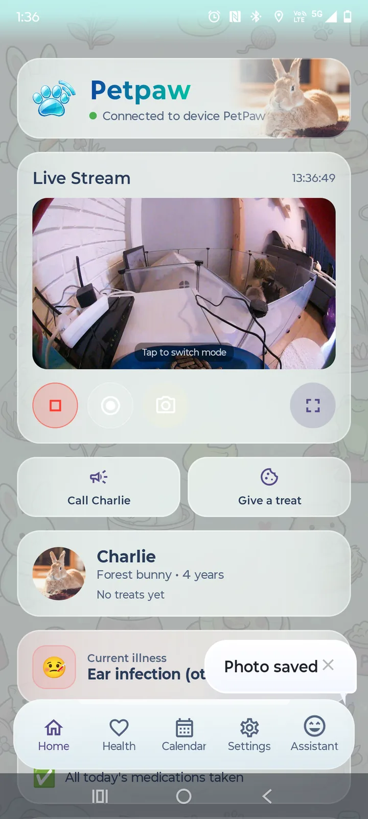 PetPaw mobile app — live HD camera feed of a rabbit at the feeder